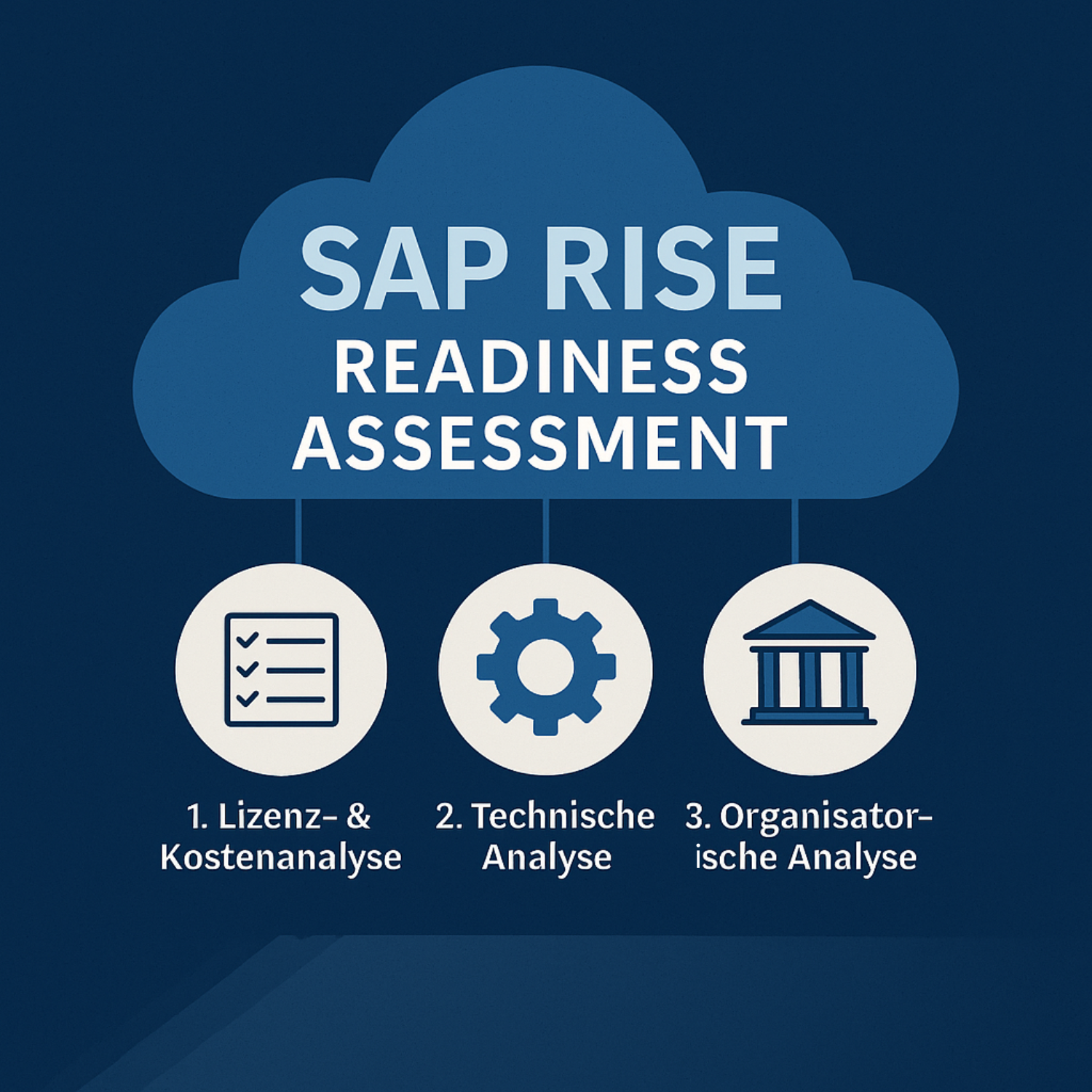 Digital-Feil SAP RISE Assessment Übersicht