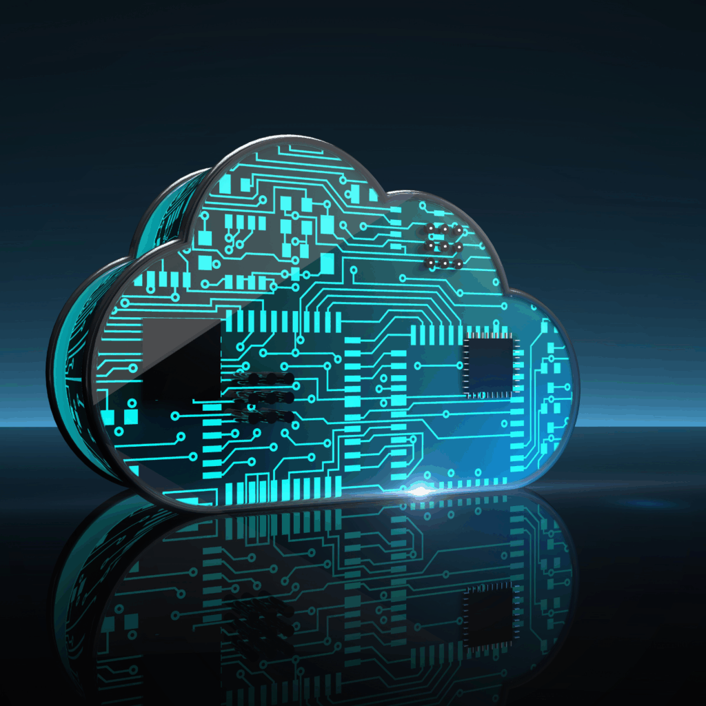 Digital Feil SAP Cloud Lösungen und SAP Consulting