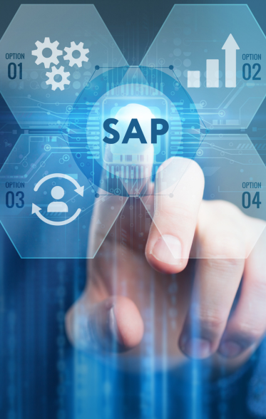 Digital-Feil SAP-Strategie-Beratung