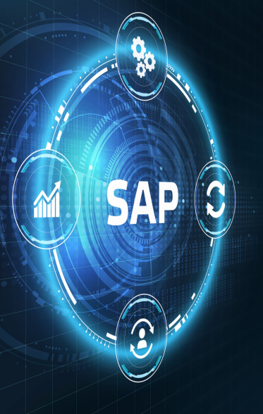 Digital-Feil SAP Consulting Leistungen